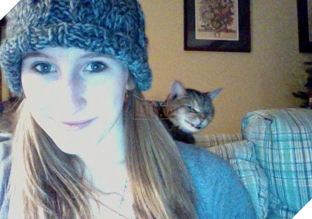 19 con mèo bẩn tính chuyên ném đá Hội những người thích chụp ảnh tự sướng - Ảnh 3.