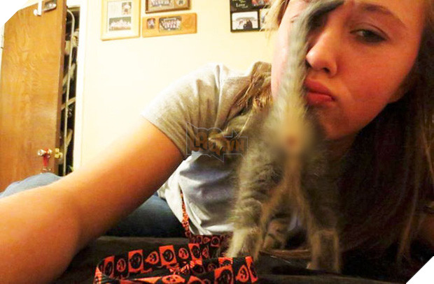 19 con mèo bẩn tính chuyên ném đá Hội những người thích chụp ảnh tự sướng - Ảnh 21.