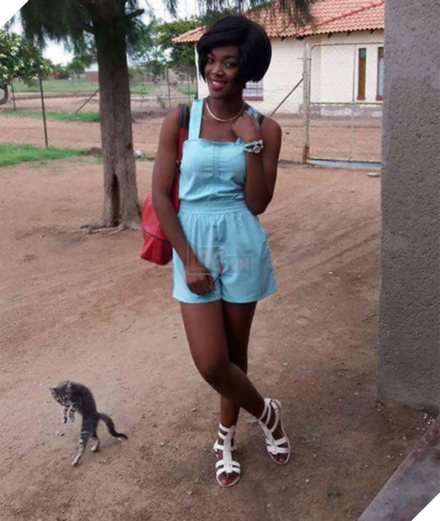 19 con mèo bẩn tính chuyên ném đá Hội những người thích chụp ảnh tự sướng - Ảnh 23.