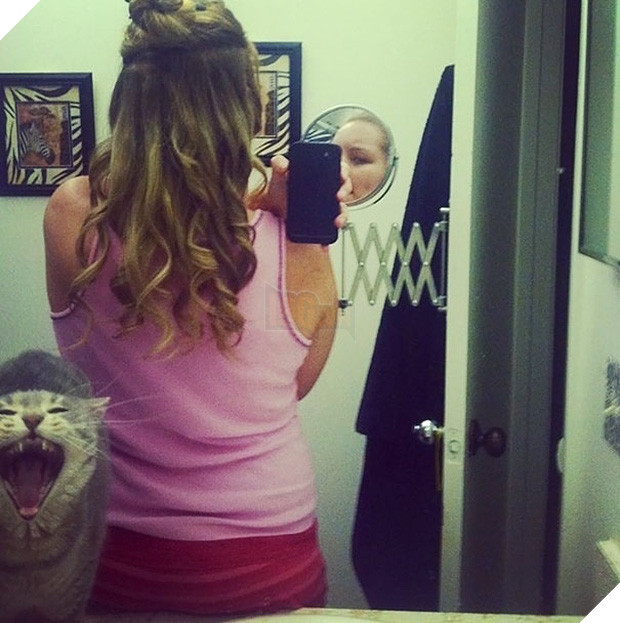 19 con mèo bẩn tính chuyên ném đá Hội những người thích chụp ảnh tự sướng - Ảnh 25.