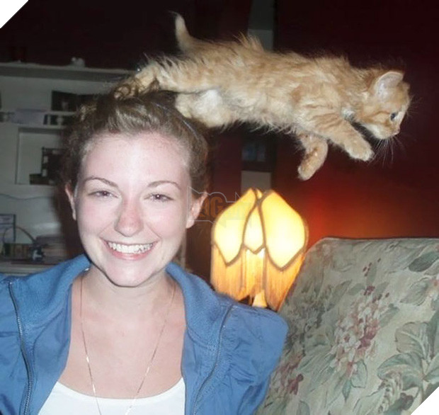 19 con mèo bẩn tính chuyên ném đá Hội những người thích chụp ảnh tự sướng - Ảnh 27.