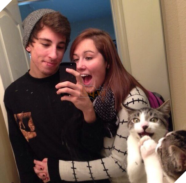 19 con mèo bẩn tính chuyên ném đá Hội những người thích chụp ảnh tự sướng - Ảnh 37.