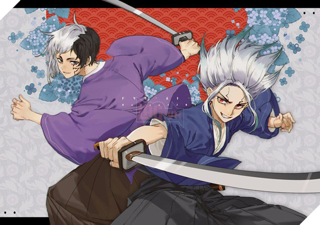 Dr Stone: Bộ đôi Senku - Gen hiện lên đẹp mãn nhãn qua loạt fan art gây nghiện - Ảnh 17.