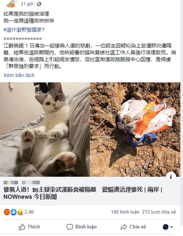 Boss bị chôn sống trong lúc sen bị cách ly do nghi ngờ nhiễm virus corona, cư dân mạng đồng loạt chỉ trích hành động vô nhân đạo - Ảnh 5.