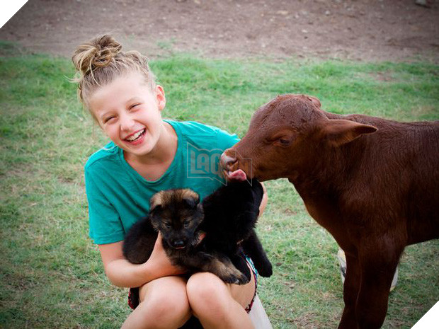 Chuyện chú bò mồ côi được gia đình nhà chó nhận nuôi từ bé, sống riết quen rồi cũng tự nghĩ mình là chó luôn - Ảnh 3.