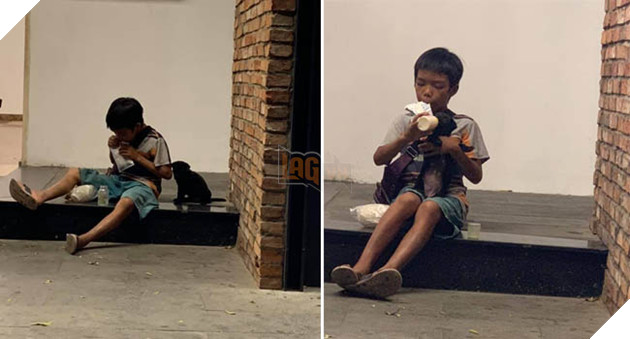 Hình ảnh xúc động: Chỉ có 1 gói sữa nhưng cậu bé san đôi, vừa uống vừa bón cho chú chó nhỏ trên vỉa hè 2