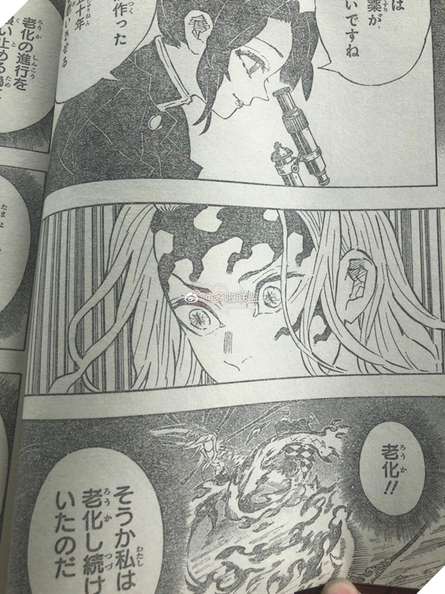 Kimetsu No Yaiba tập 193 - Spoiler - Muzan dính kịch độc, mỗi 1 giây lại già đi 50 năm 4