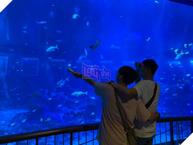 Xịn sò như Team Flash, cả team đi Singapore du lịch còn thuê hẳn du thuyền để tham quan sương sương - Ảnh 5.