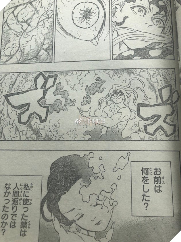 Kimetsu No Yaiba tập 193 - Spoiler - Muzan dính kịch độc, mỗi 1 giây lại già đi 50 năm 2