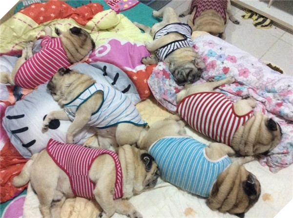 
Chắc đây là đồng phục đi ngủ rồi!