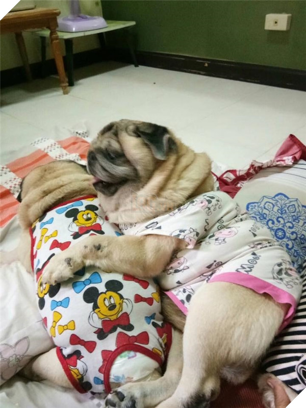 
Cô em áo "hường" điều quá đi mất thôi