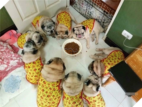 
Cho đến hoa văn sặc sỡ 