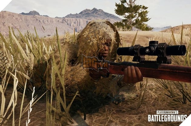 Shroud cho biết anh sẽ chọn PUBG thay vì Apex Legends để chơi đến hết cuộc đời 2