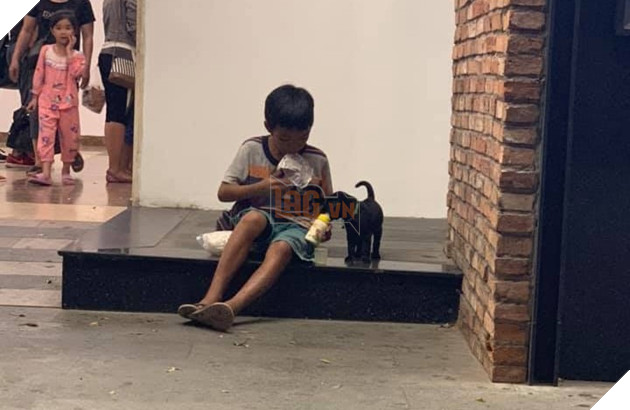 Cậu bé sẵn sàng chia gói sữa nhỏ cho người bạn 4 chân. 
