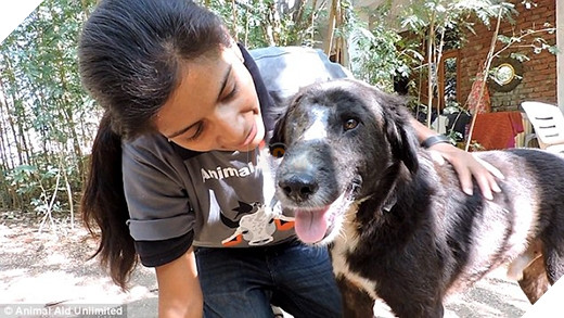 
Kalu khỏe mạnh và hạnh phúc trong vòng tay các nhân viên tốt bụng. (Ảnh: Internet)