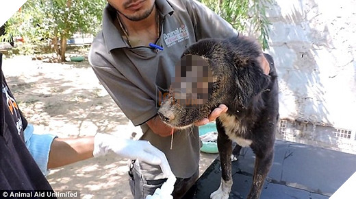 
Khuôn mặt dị dạng khủng khiếp để lộ ra một phần lớn xương sọ. (Ảnh: Internet)