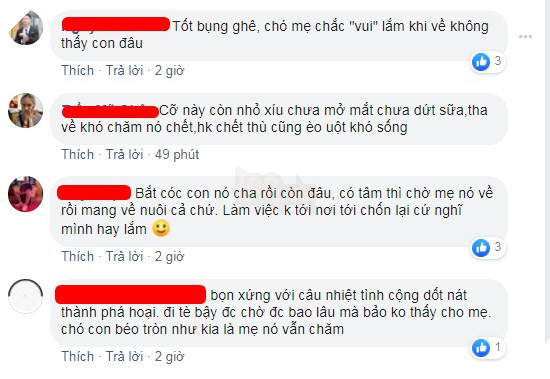Nhặt được đàn chó con trong bụi cỏ mang về chăm sóc, cặp đôi lại bị trách ngược: “Chó mẹ về không thấy đàn con nó thì làm sao?” 7