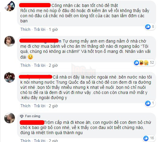 Nhặt được đàn chó con trong bụi cỏ mang về chăm sóc, cặp đôi lại bị trách ngược: “Chó mẹ về không thấy đàn con nó thì làm sao?” 6
