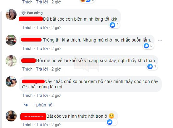 Nhặt được đàn chó con trong bụi cỏ mang về chăm sóc, cặp đôi lại bị trách ngược: “Chó mẹ về không thấy đàn con nó thì làm sao?” 8