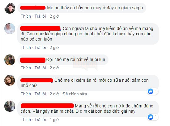 Nhặt được đàn chó con trong bụi cỏ mang về chăm sóc, cặp đôi lại bị trách ngược: “Chó mẹ về không thấy đàn con nó thì làm sao?” 10
