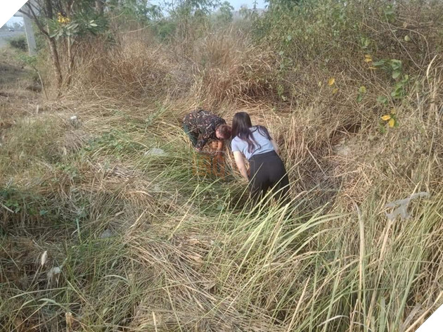 Nhặt được đàn chó con trong bụi cỏ mang về chăm sóc, cặp đôi lại bị trách ngược: “Chó mẹ về không thấy đàn con nó thì làm sao?”