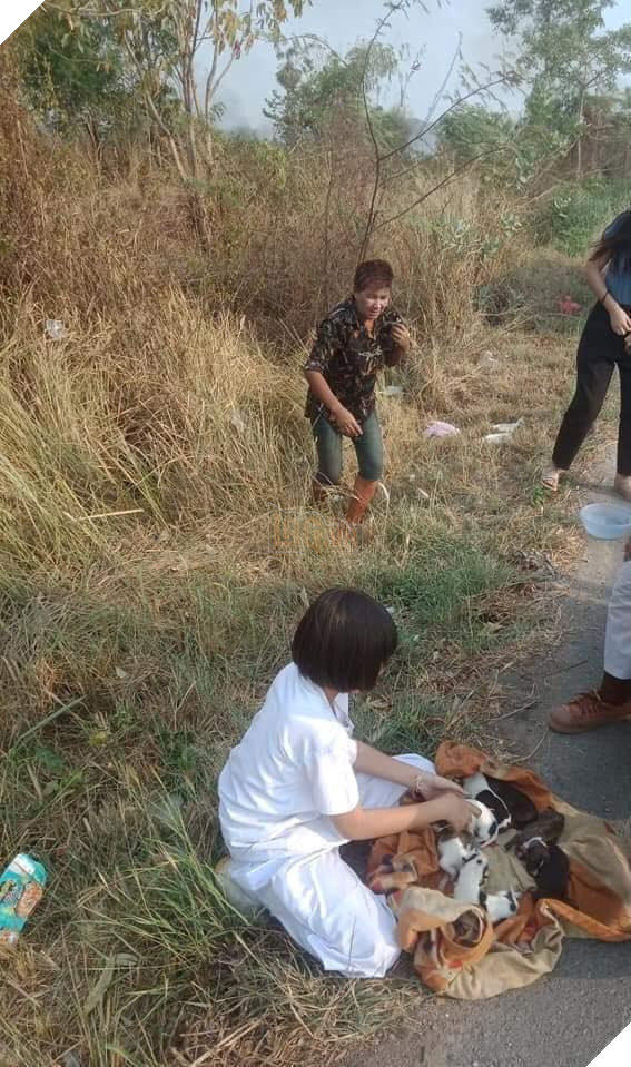 Nhặt được đàn chó con trong bụi cỏ mang về chăm sóc, cặp đôi lại bị trách ngược: “Chó mẹ về không thấy đàn con nó thì làm sao?” 3