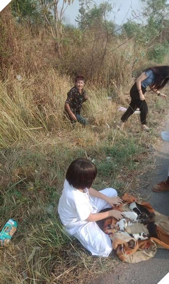 Nhặt được đàn chó con trong bụi cỏ mang về chăm sóc, cặp đôi lại bị trách ngược: “Chó mẹ về không thấy đàn con nó thì làm sao?” 4