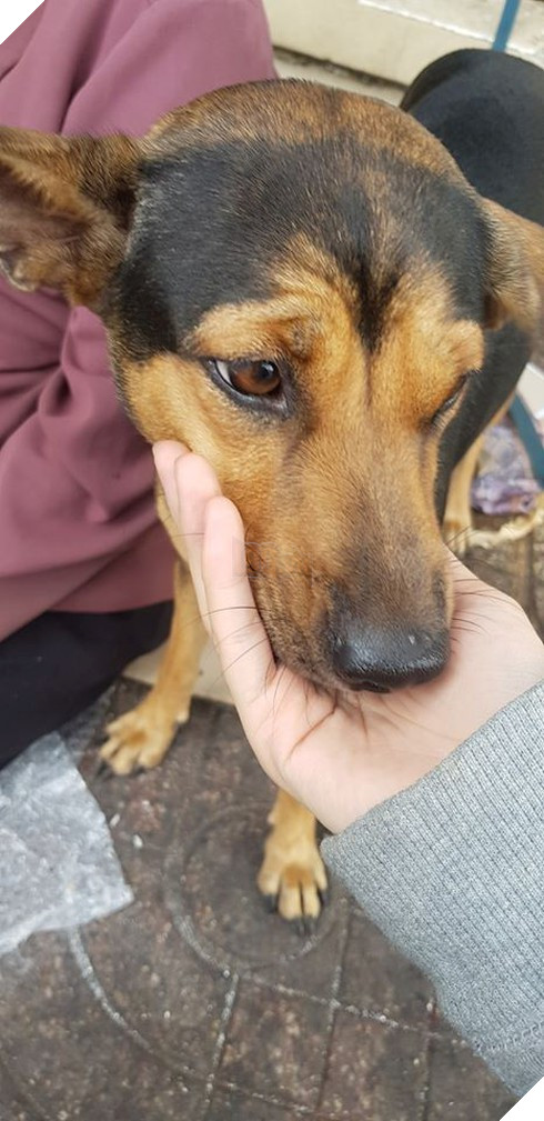  
Tiếp xúc nhiều người mọi người nên Bích rất thân thiện.