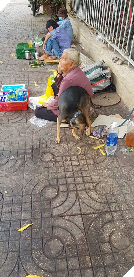  
Ban ngày Bích quấn quýt bên bà, ban đêm bà ngủ vỉa hè còn Bích được ngủ ở một tiệm thú y.