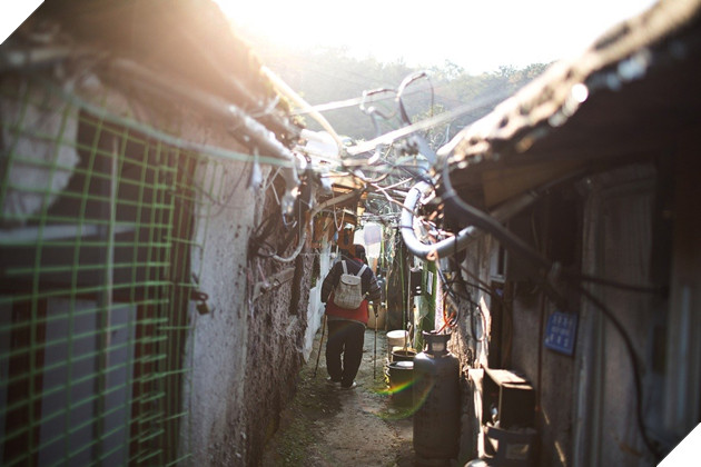 Bàng hoàng với khung cảnh khu phố ổ chuột trong Parasite ngoài đời thực 10