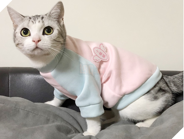  
“Tôi mặc đồ em bé thì có gì sai?”. (Ảnh: Boss Yêu) 