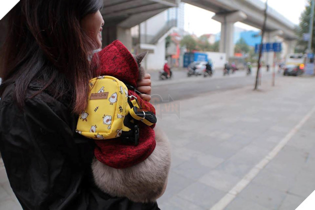  
"Boss" luôn cần được chăm sóc kĩ càng nhé! (Ảnh: Boss Yêu)