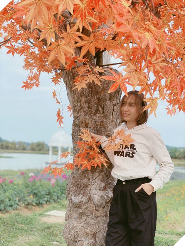 Lynk Lee đổi giới tính thành nữ: Gọi tôi là anh hay chị cũng được - ảnh 2