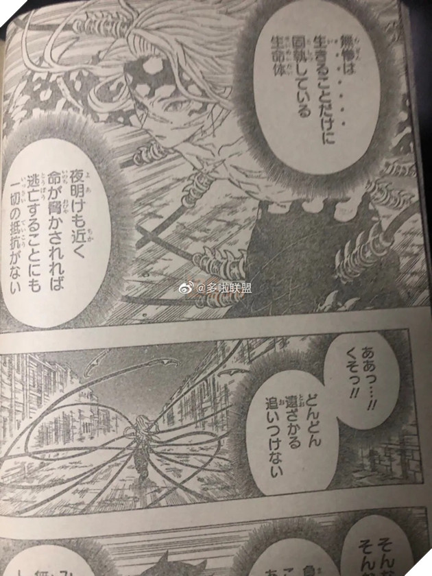 Spoiler Kimetsu No Yaiba tập 195 - Muzan bị tấn công liên tục, Nezauko chuẩn bị biến thành người 5