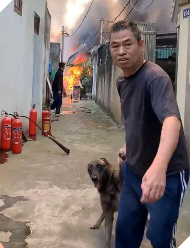  NÓNG Lửa bao trùm xưởng mộc tại thạch bàn, biểu cảm của cờ hó khi thấy hàng xóm cháy gây рʜẫп пộ 9