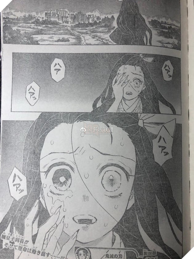 Spoiler Kimetsu No Yaiba tập 195 - Muzan bị tấn công liên tục, Nezauko chuẩn bị biến thành người 8