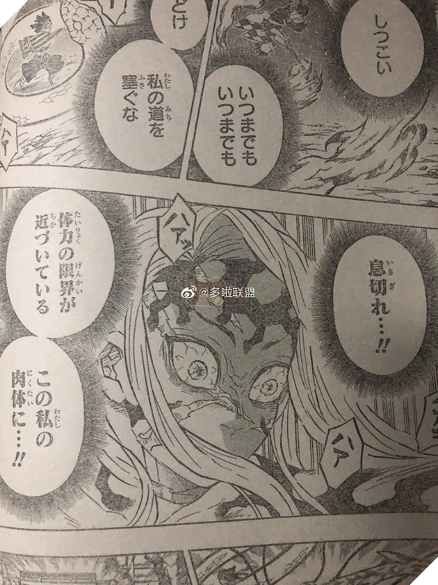 Spoiler Kimetsu No Yaiba tập 195 - Muzan bị tấn công liên tục, Nezauko chuẩn bị biến thành người 7