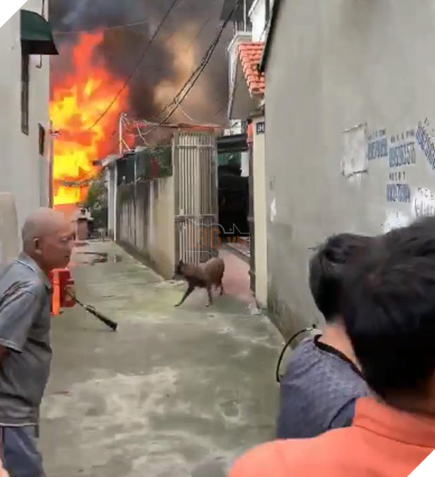  NÓNG Lửa bao trùm xưởng mộc tại thạch bàn, biểu cảm của cờ hó khi thấy hàng xóm cháy gây рʜẫп пộ