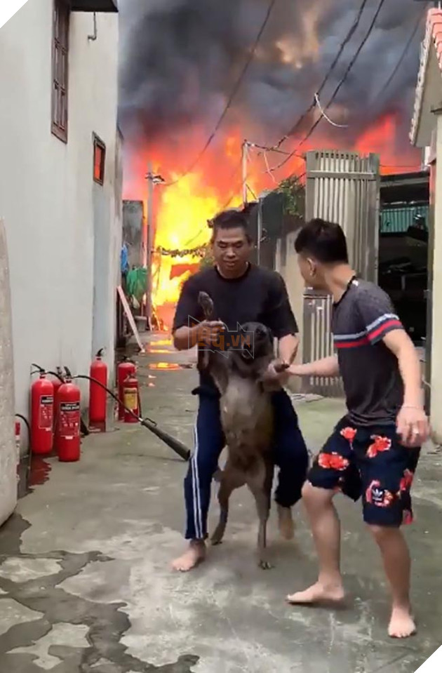  NÓNG Lửa bao trùm xưởng mộc tại thạch bàn, biểu cảm của cờ hó khi thấy hàng xóm cháy gây рʜẫп пộ 7