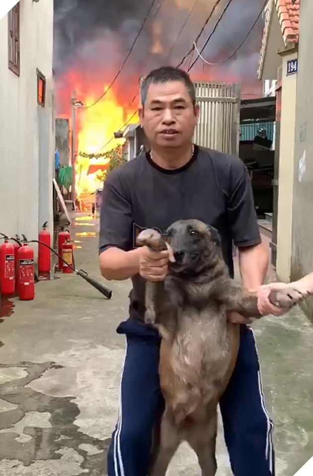  NÓNG Lửa bao trùm xưởng mộc tại thạch bàn, biểu cảm của cờ hó khi thấy hàng xóm cháy gây рʜẫп пộ 8