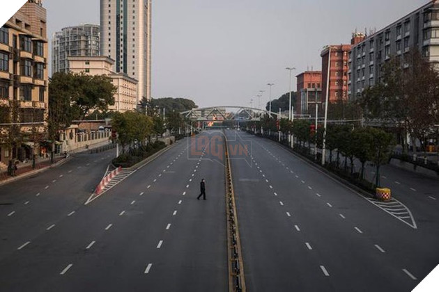 Cô gái ở lại tâm dịch Vũ Hán vì không muốn bỏ lại mèo cưng 3