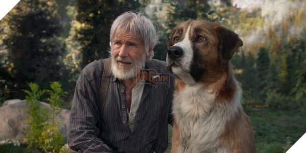 Review The Call of the Wild - Bản chuyển thể nhẹ nhàng về hành trình của Buck