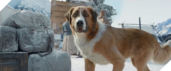 Review The Call of the Wild - Bản chuyển thể nhẹ nhàng về hành trình của Buck 3