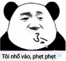 Biaoqing là gì ? Tổng phù hợp hình hình ảnh meme panda bựa của Trung Quốc 4