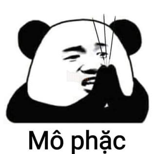 Biaoqing là gì ? Tổng hợp hình ảnh meme gấu trúc bựa của Trung Quốc