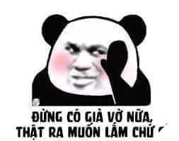 Biaoqing là gì ? Tổng phù hợp hình hình ảnh meme panda bựa của Trung Quốc 10