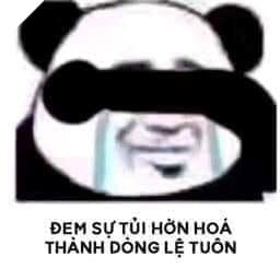 Biaoqing là gì ? Tổng hợp hình ảnh meme gấu trúc bựa của Trung Quốc 11