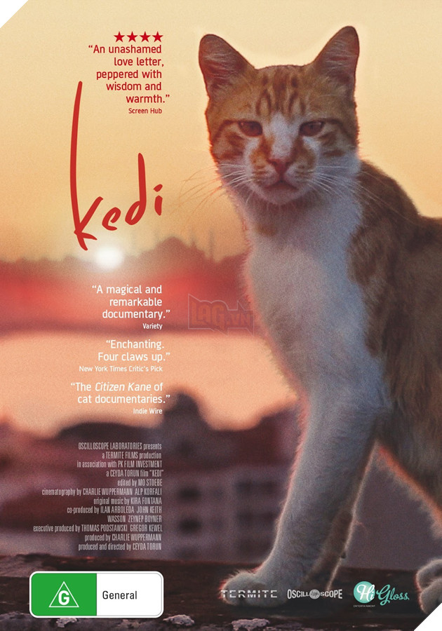 Tổng hợp những tựa phim về mèo ngọt ngào như Adorable Home Phần 2  5