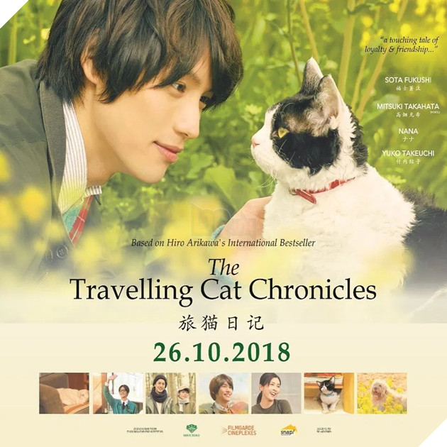 Tổng hợp những tựa phim về mèo ngọt ngào như Adorable Home Phần 2 