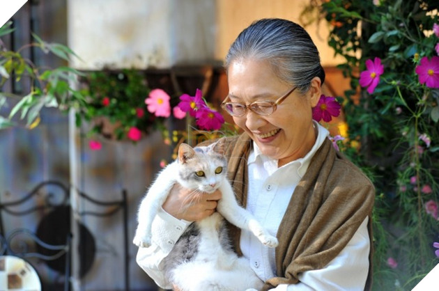 Tổng hợp những tựa phim về mèo ngọt ngào như Adorable Home Phần 2  4